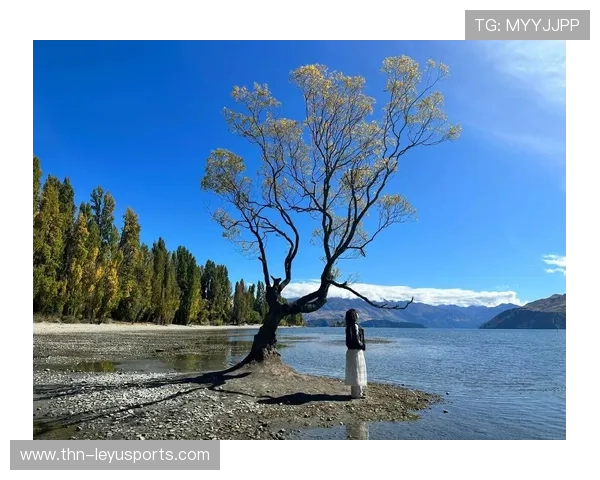 新西兰的节奏感太强，打得干净利落，“新西兰”